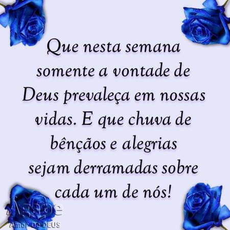 Sandra TIM BETA (@sandra70469306) on Twitter photo 