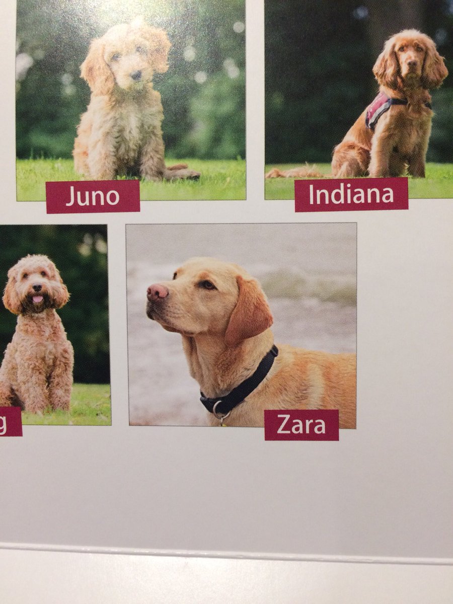 sburchett21's tweet image. @PrincessZaraBPS look who is in my Xmas card! Xx