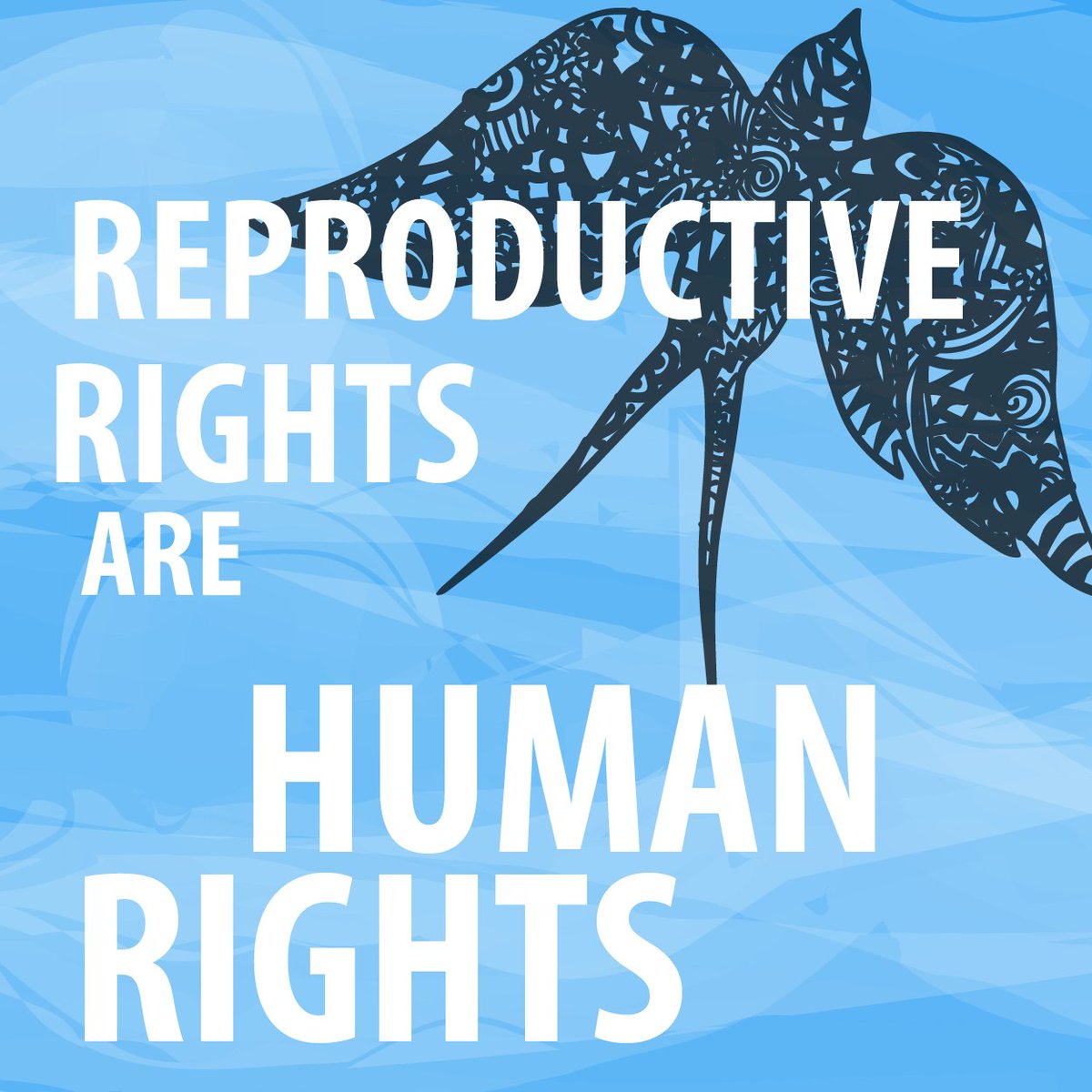 SisterSong_WOC's tweet photo. Grateful to global #reprojustice webinar speakers: @genderhealth @reprorights @womenonwaves_ @reprorightsLAC @abortionpil @IntlWomen @WomenEnable @OutRightIntl and @CAREglobal.  Thank you for supporting the health and rights of women and girls of color around the world! #rj2017 https://t.co/Lf5zp0QgKn