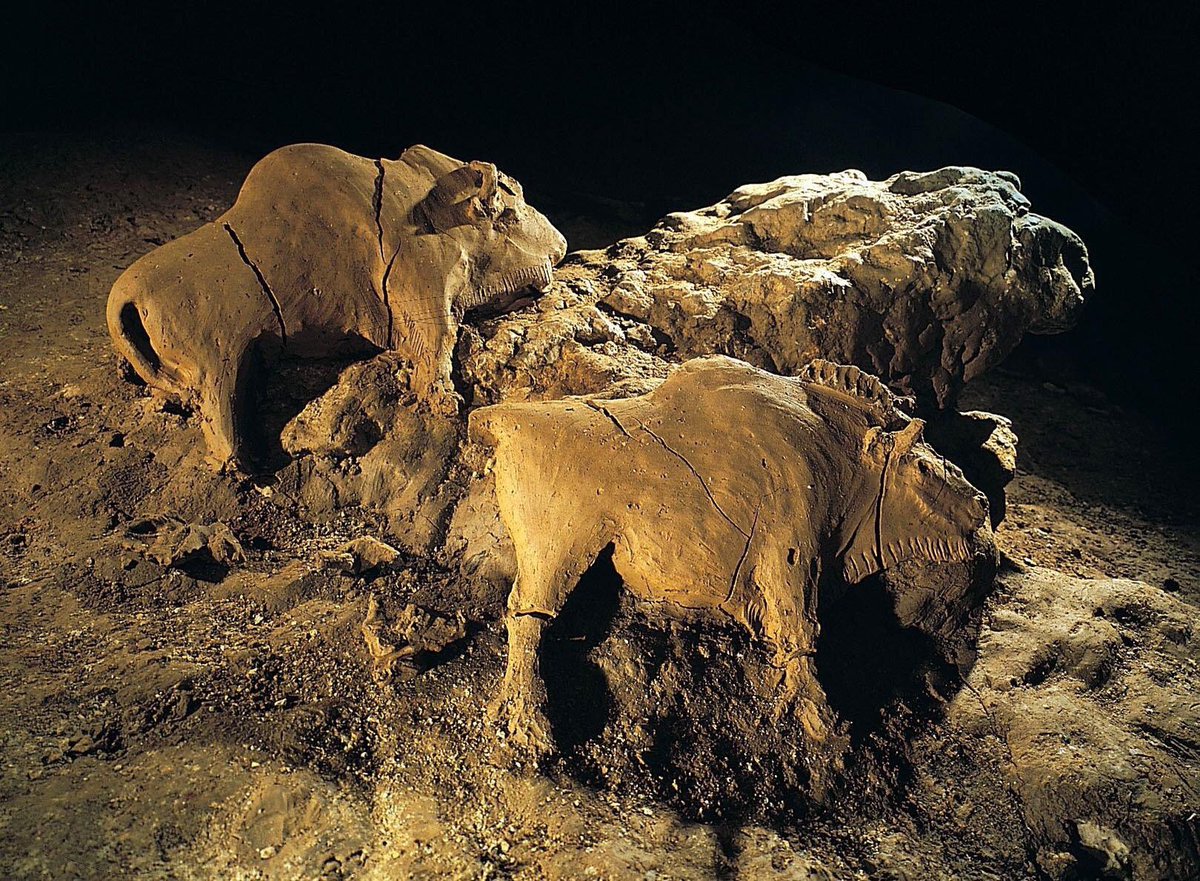 14,000 years ago, illuminated by animal fat lamps, two bison were expertly modelled in wet clay in the dark recesses of Le Tuc d'Audoubert cave in southwest France. The bison still show markings traced by the sculptor’s fingernails #IceAgeArt