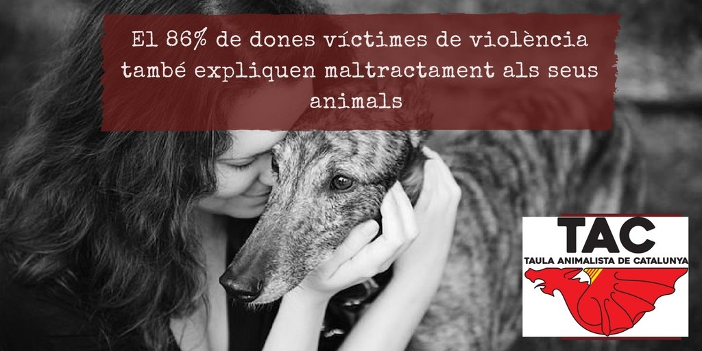 Taula Animalista de Catalunya tweet media