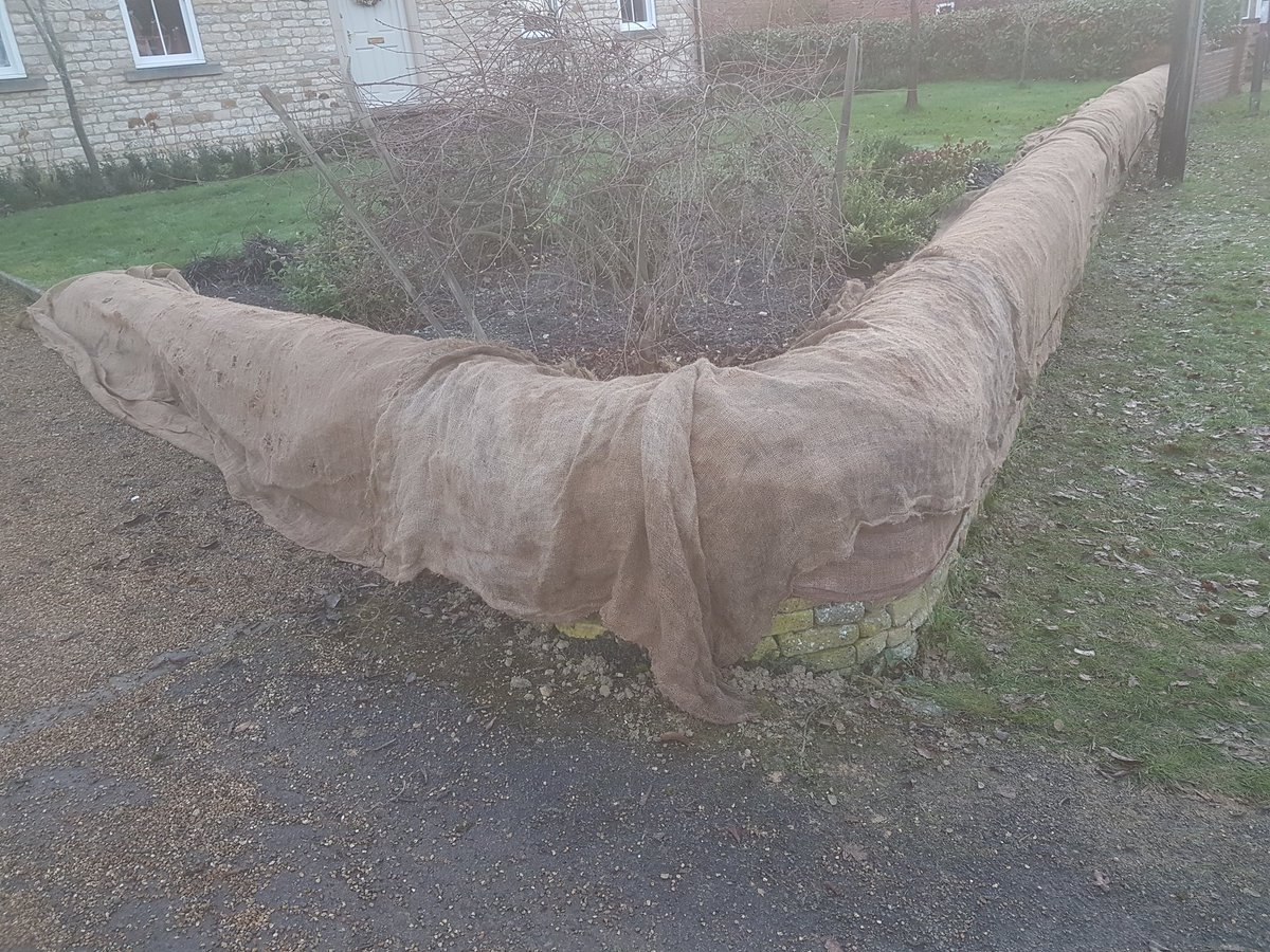 LandscapeHowTo's tweet image. Its not just people that need blankets, our new copes need to keep warm on a cold winter&apos;s night too! #frostprotection #frostdamage #howtolandscape #diy