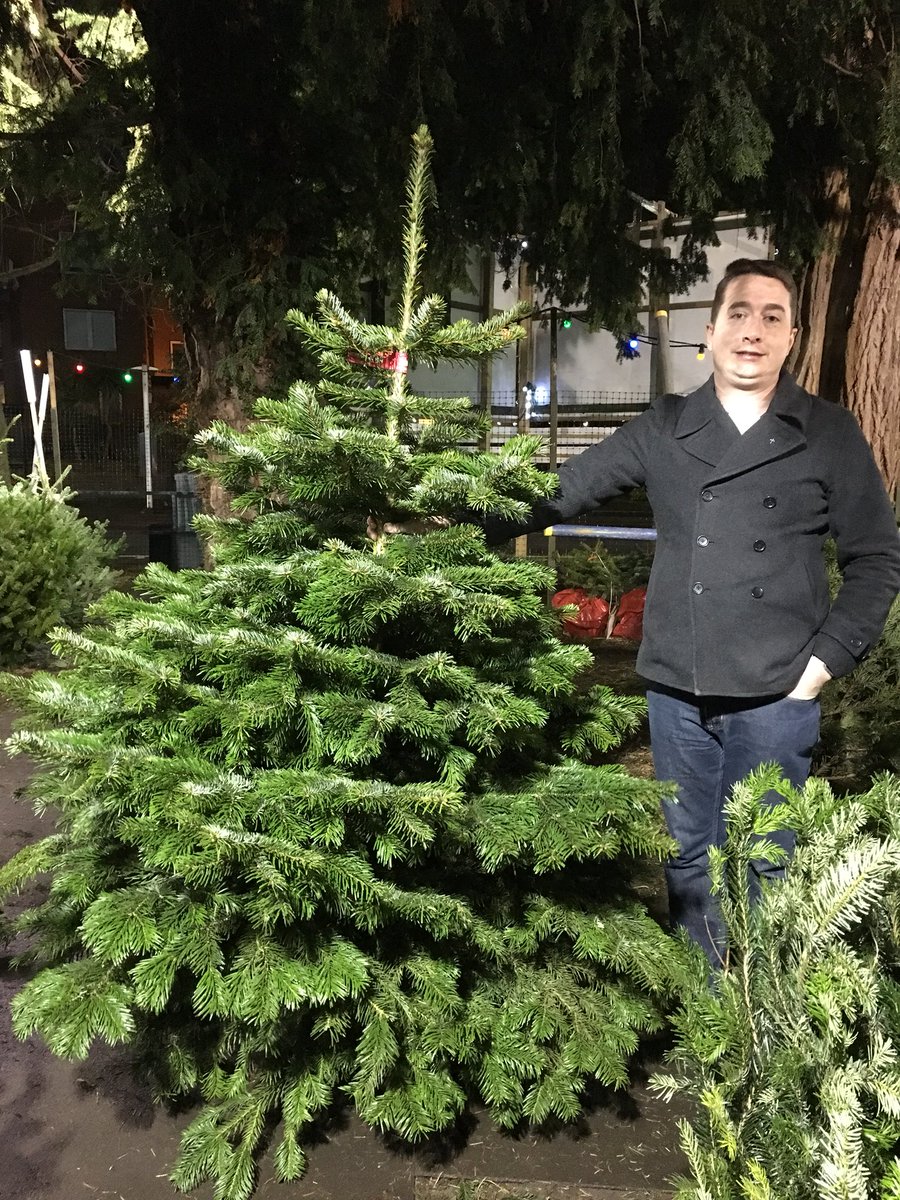 the christmas forest xmasforest twitter profile twiblue the christmas forest xmasforest twitter profile twiblue