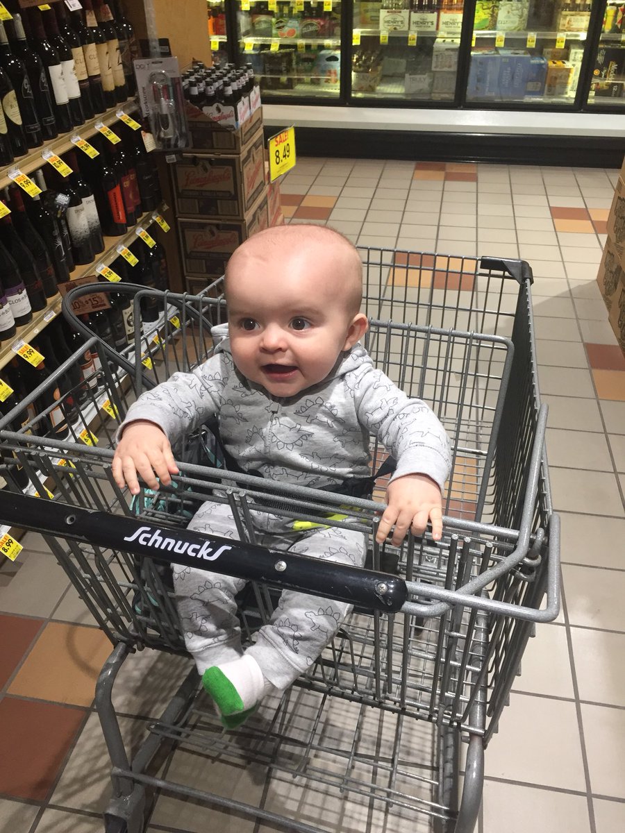 BEisenbath's tweet photo. This little guy thinks he is a big shot now sitting up in the shopping cart! @LauraM504 #lazysunday https://t.co/OMPhfdf4b7