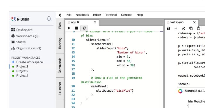 RBrainInc's tweet photo. RIDE IDE/Platform for #rstats #python #SQL on #aws marketplace. Easy intsllation. #AWSreinvent2017 
https://t.co/mDaFXGgbRi https://t.co/Sy0lzy7Vud