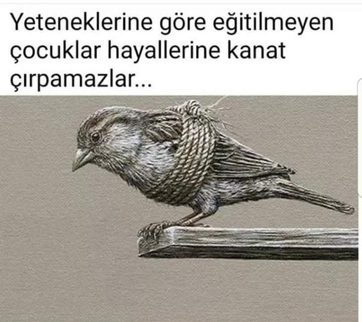 Tayfun SIMSEK (@tayfun_simsek70) on Twitter photo 