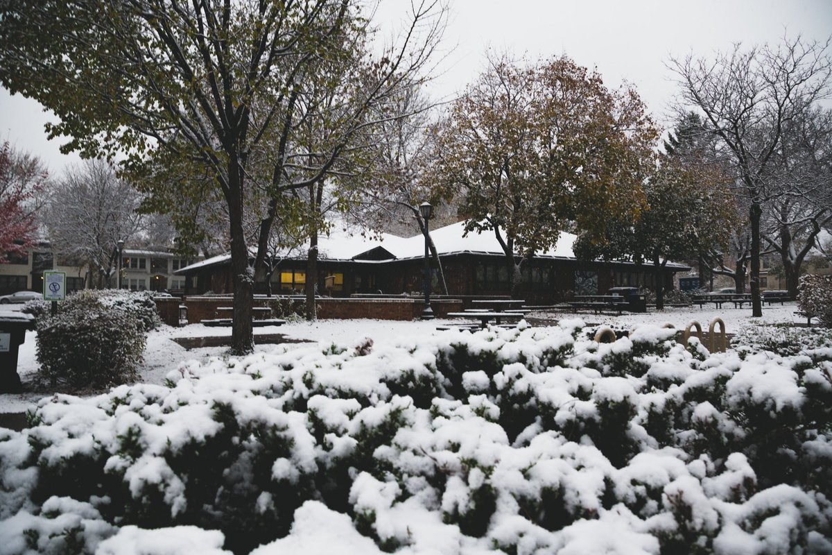 First big snowfall early this December on display at Bryant Square Park. #Community #MPLS #CARAG #UptownMPLS #ExploreMN