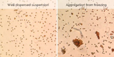 ParticleDoc's tweet photo. Mind the weather &amp; your #LabFridge / cooler--don't let your beads freeze! #Microsphere #Aggregation #ItsAllOverButTheCrying #BabyItsColdOutside https://t.co/n5MXdecPSv https://t.co/w79S6afFCy