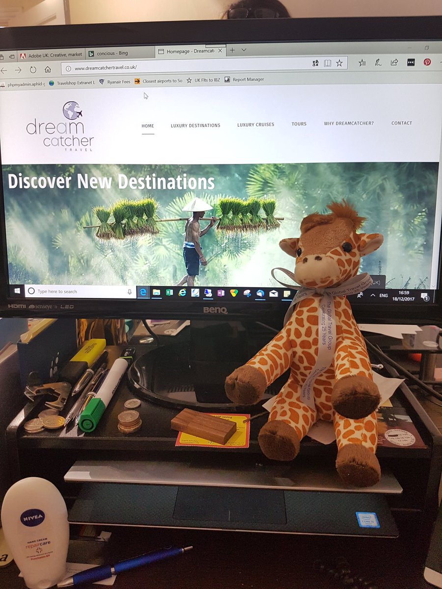 dreamhols's tweet photo. #25YearsOfGlobal #gerrygiraffe @GlobalRichards he's arrived just in time for Christmas 🌲💕 https://t.co/zJaMsN7VO9