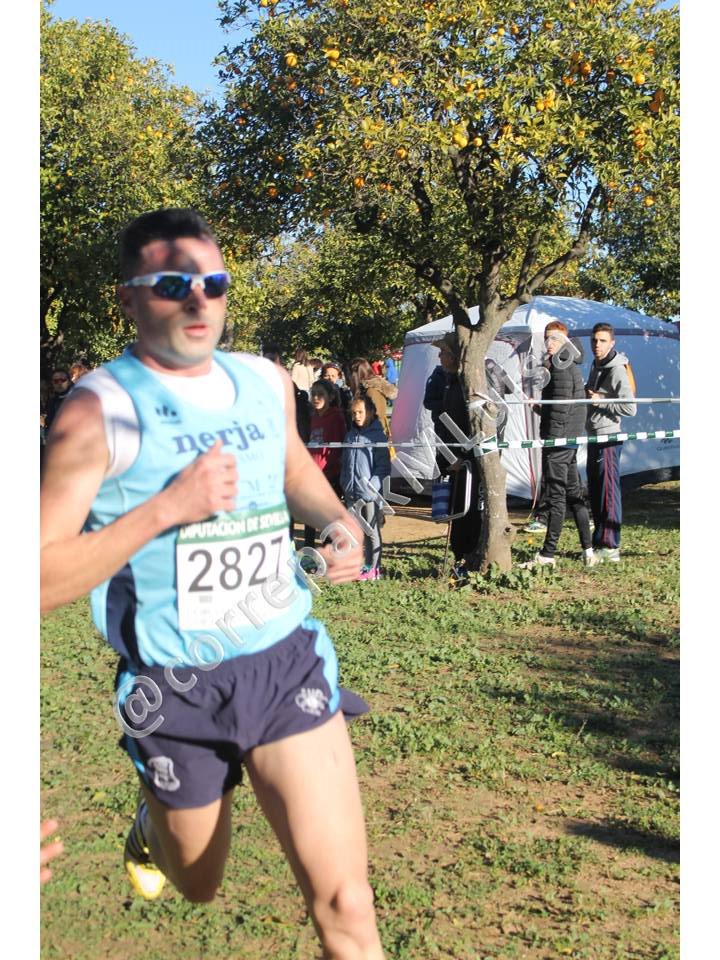 Jesús Brenes ganador del #Cross de la Diputación en #Utrera. Más fotos; corredoresparquemarialuisa.com/galeria-de-la-… #TDSDeporte