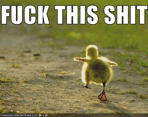 onlyinBE tweet picture