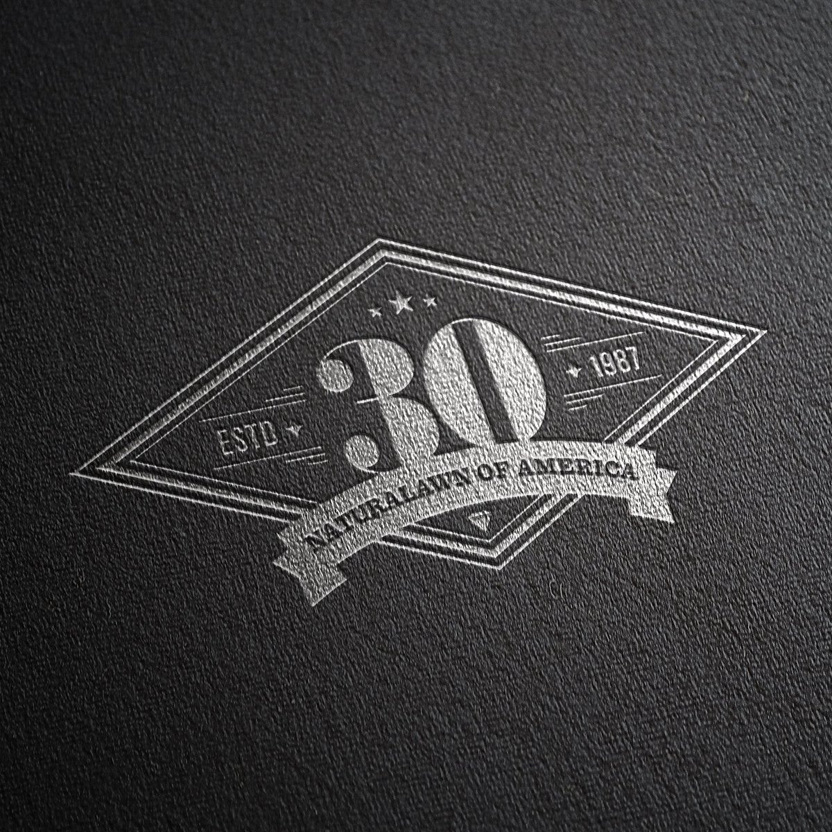 lisasirbaugh's tweet photo. Happy Anniversary @NaturaLawn! 2017 marked 30yrs for the environmentally responsible lawn care company. Congrats on your success. I had a blast working w/you on your diamond anniversary logo & collateral materials.
#naturalawnofamerica #logodesign #lisagorhamcreative #frederickmd https://t.co/Ho0AP7SXlN