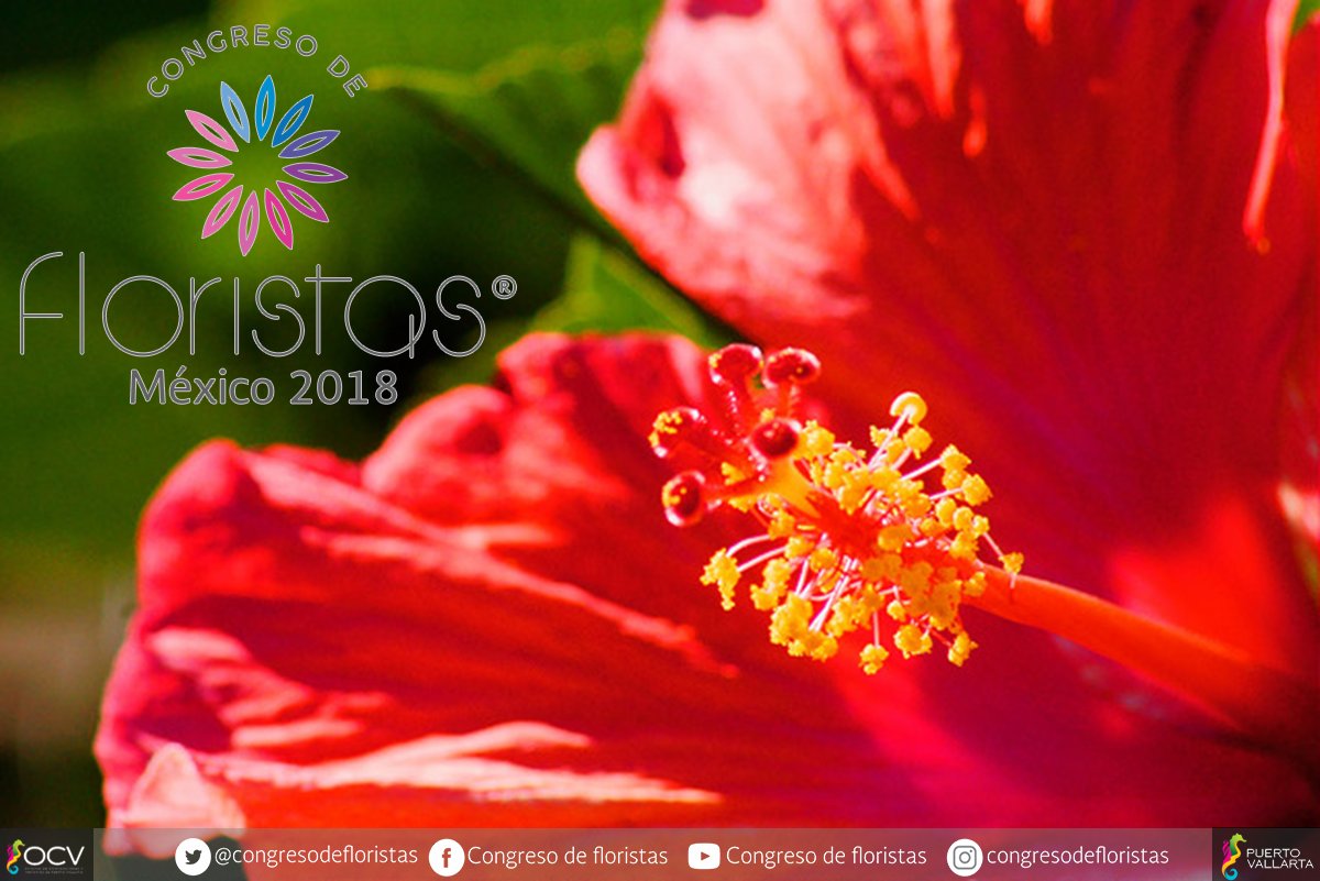 CongresodeFlori tweet picture