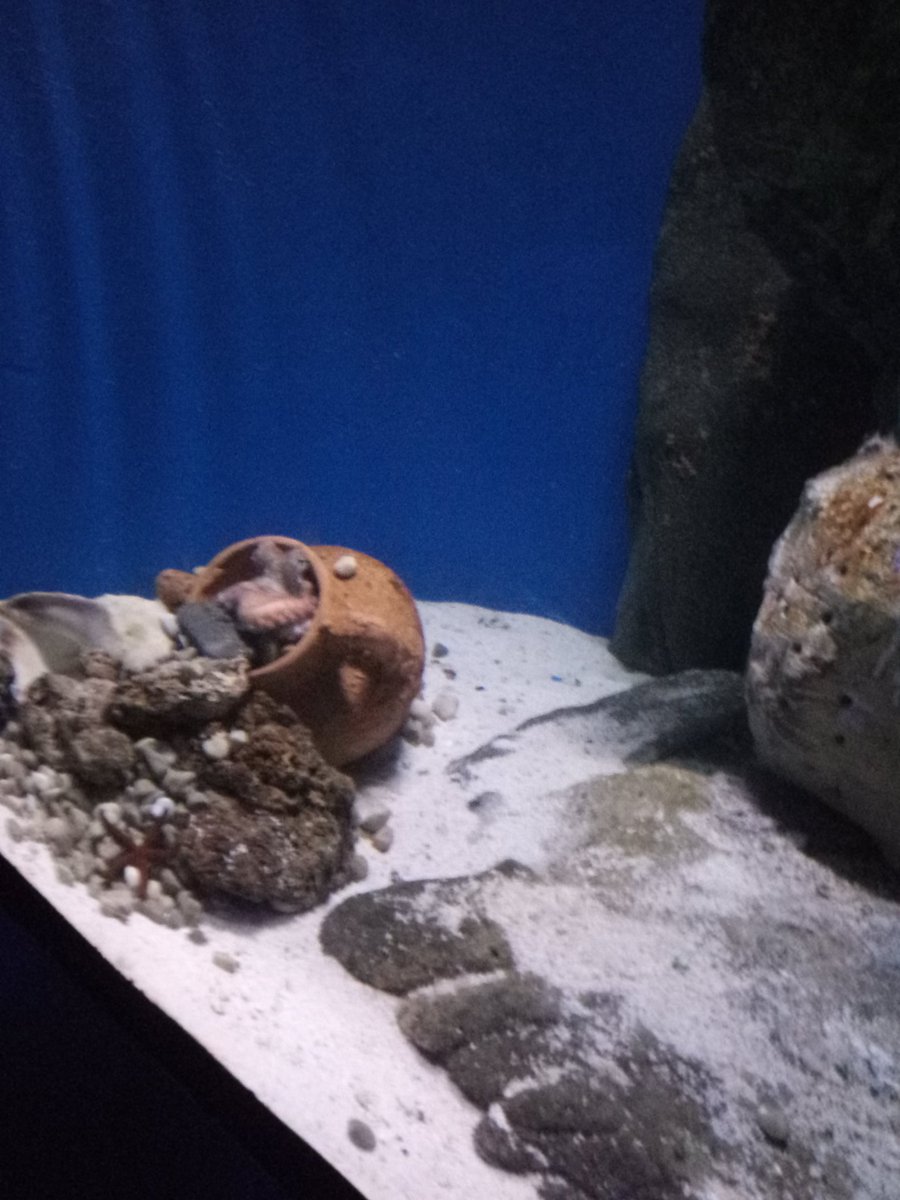 Flori (@flori13327235) on Twitter photo 