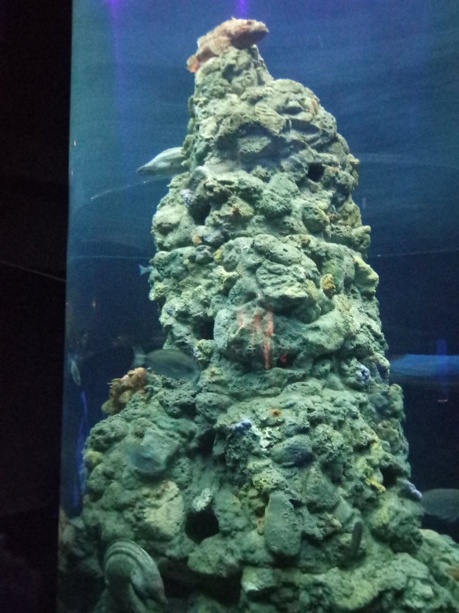 Flori (@flori13327235) on Twitter photo 