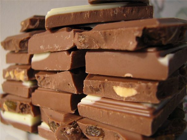 Recipes__Online's tweet photo. Recipe for homemade chocolate without dyes and preservatives: https://t.co/C6vHeGBhQe

#madechocolate #chocolate #homemade #homemadechocolate #desert #enjoyyourtea https://t.co/Ba5VAvcNFP