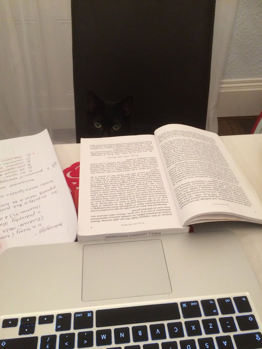 MindyDawes3's tweet photo. @PetsatHome @WhiteCrossVets I'm hoping my cat can write my assignment for me...she seems up for it! 
#assignment #procrastination #1weekuntilchristmas #1weektogo #needtogetingear #CatsOfTwitter #Caturday https://t.co/TUOzuAwMPT
