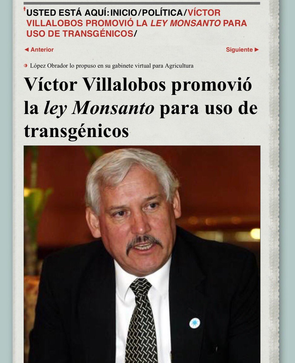 Celeste Sáenz tweet media