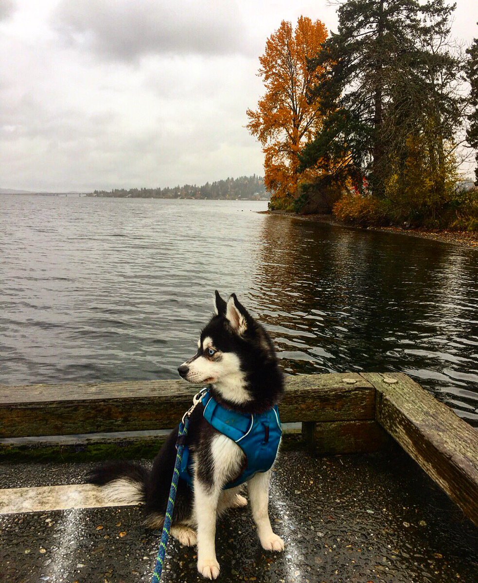 HickoryHikes's tweet photo. looking back on the #weekend, got me those #mondayblues https://t.co/pumLVrVG10