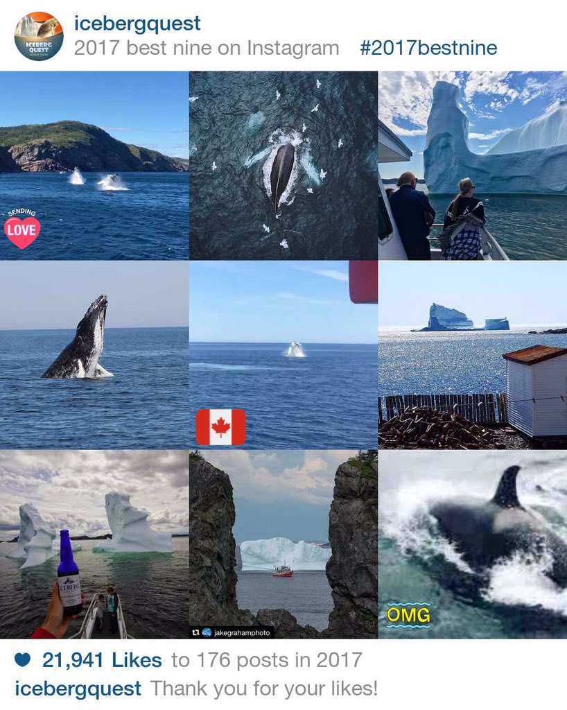 Iceberg Quest Tours tweet media