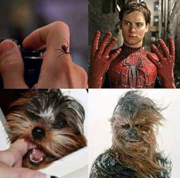 ★ MVK (@knya3e8) on Twitter photo 