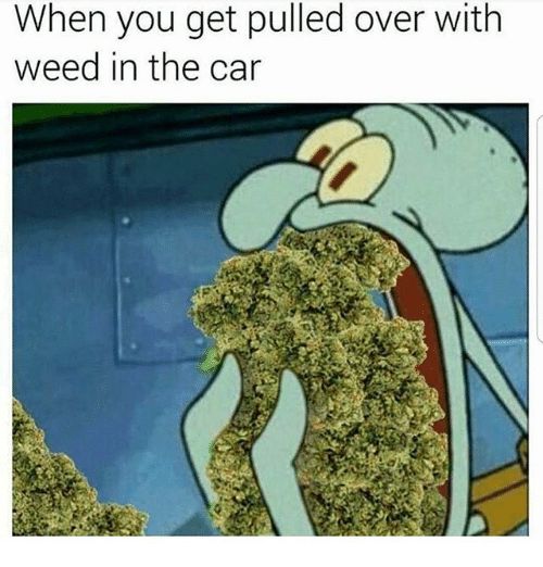 CTFOSmokeShop's tweet photo. When you get pulled over with weed in the car.🤣
#weed #smoking #cannabis #bong #weedInfo
#marijuana #CTFOSmokeShop #THC #WeedUK #Meme #WeedMeme #StonerHumour https://t.co/UwmYW4T7QV
