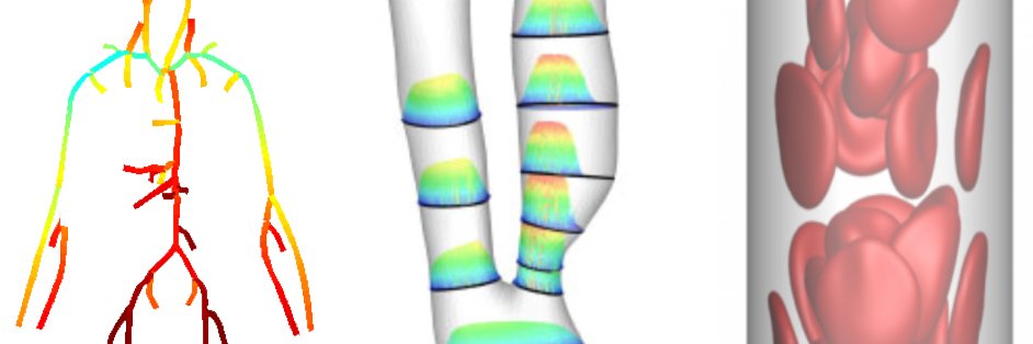 UKFN SIG leader in European CFD conference mini-symposium MS192, 'Developments in reduced-order modelling of the cardiovascular system – methods and applications', and invites 1-page talk abstracts. Submit using template at eccm-ecfd2018.org/frontal/Regist… by 31 Jan.