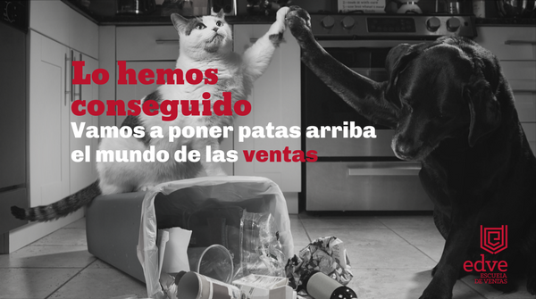 Escuela De Ventas tweet media