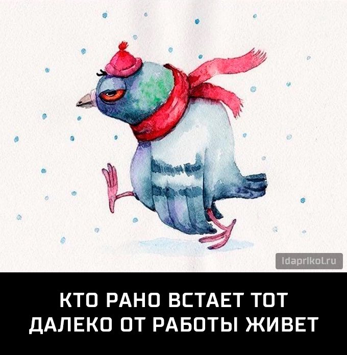 Картинки для, веселые картинки кто рано встает