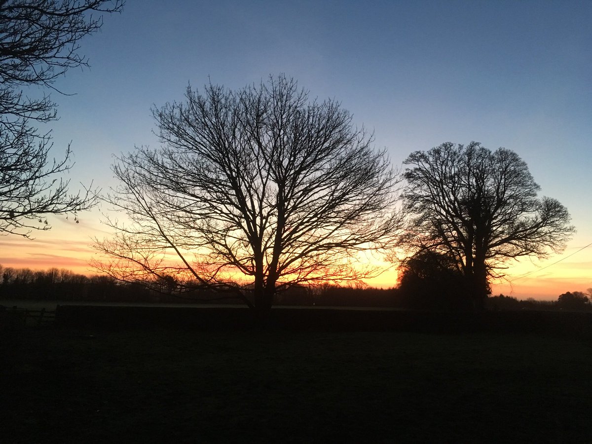 Sunrise #stunning #winterskies