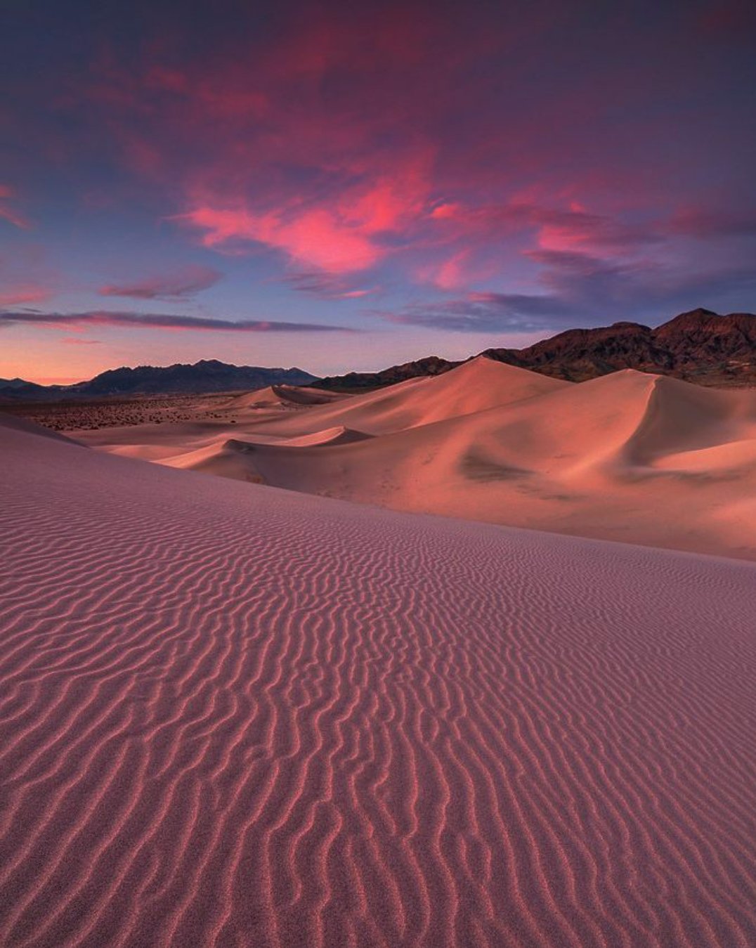 Discover Algeria on Twitter: "Ouargla Algerian Sahara #Algérie #Algeria