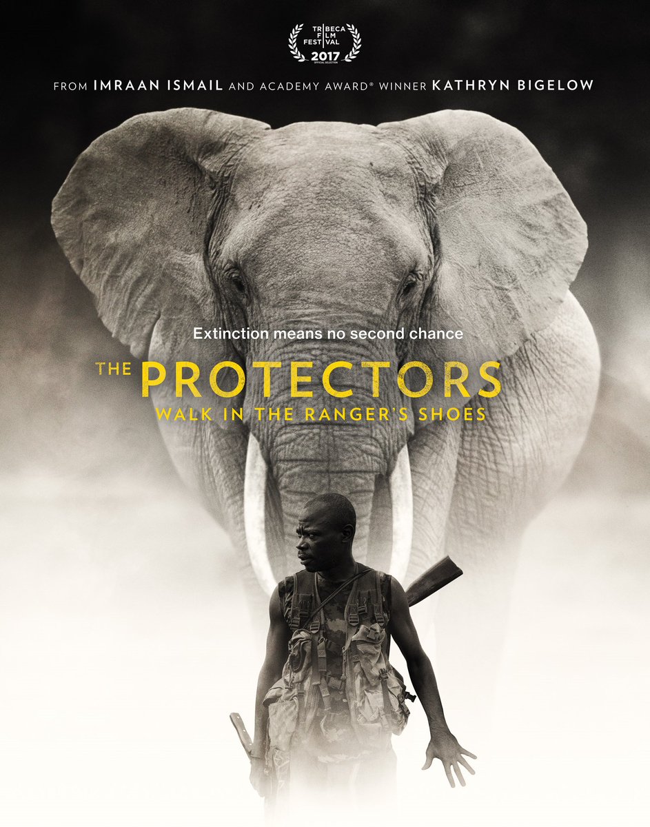 AfricanParks's tweet image. Walk in the rangers shoes and watch this stunning #VR film #TheProtectors" made by #KathrynBigelow, @DragonsOrg &amp;amp; @natgeo about our Rangers in Garamba in the DRC. 22,000 elephants used to live here but after years of poaching, only 1,300 remain. Watch:  with.in/watch/the-prot…