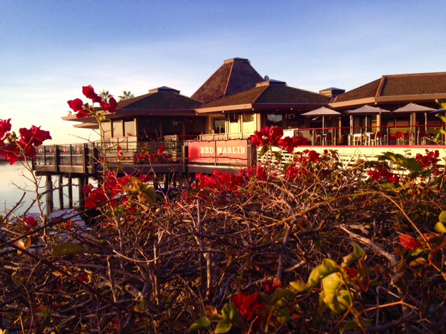 HyattMissionBay's tweet photo. The Red Marlin Restaurant on Mission Bay at the beautiful Hyatt Regency. https://t.co/zRvWnz1Jvs