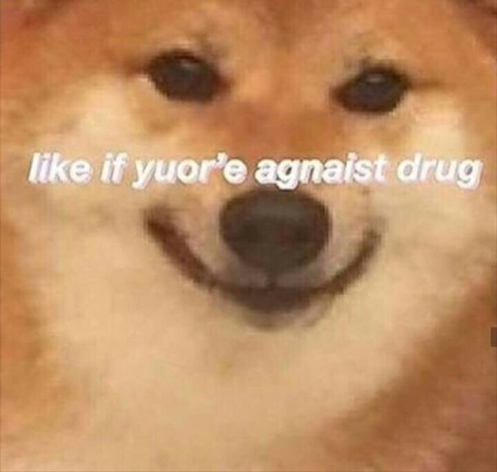 garyfromteenmom's tweet image. roses are red
i am a pug