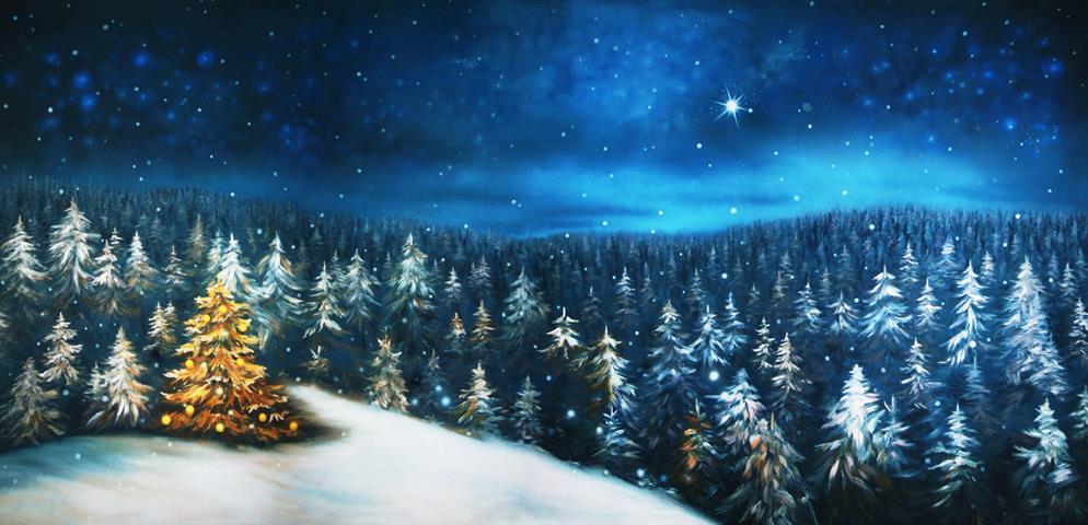 salengo_fr's tweet photo. New post (Joyeuses fêtes de la part de SalenGo) has been published on Le Blog de SalenGo ! - https://t.co/rBafiEUbNf https://t.co/i37l3gltyW