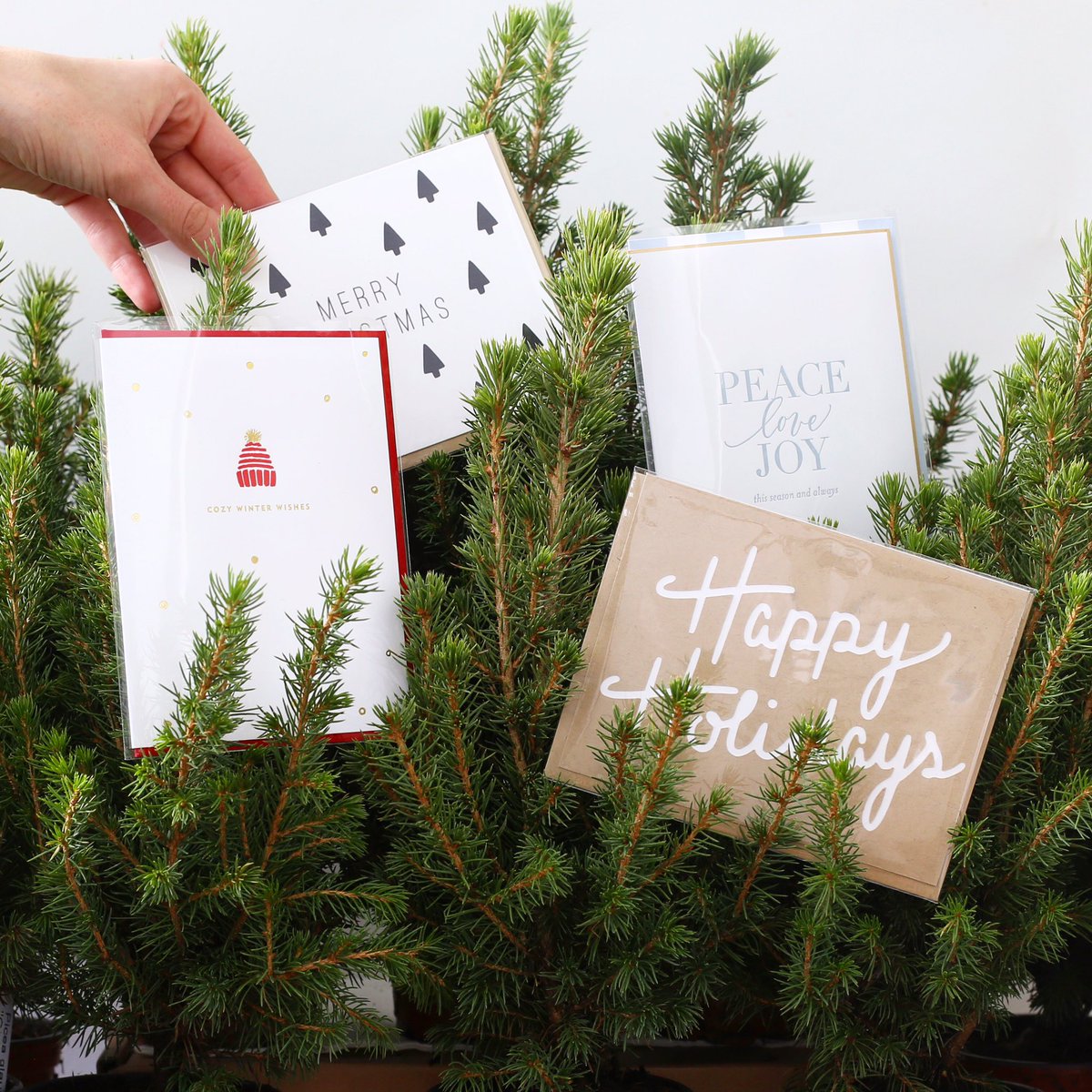 foxtrotmarket's tweet photo. Still plenty of time to get (&amp; mail) some holiday cards this year! Shop our full selection: https://t.co/mRE1ZnRkGm ✉️ https://t.co/KPQtlAr8Sy
