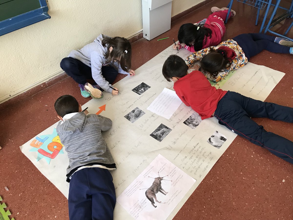 TeacherEspe's tweet photo. Nuestro súper póster del lobo ya está casi casi terminadito, al igual que nuestro proyecto... 🤗🤗 #ceipcruzblanca https://t.co/fNoqbxGlI3