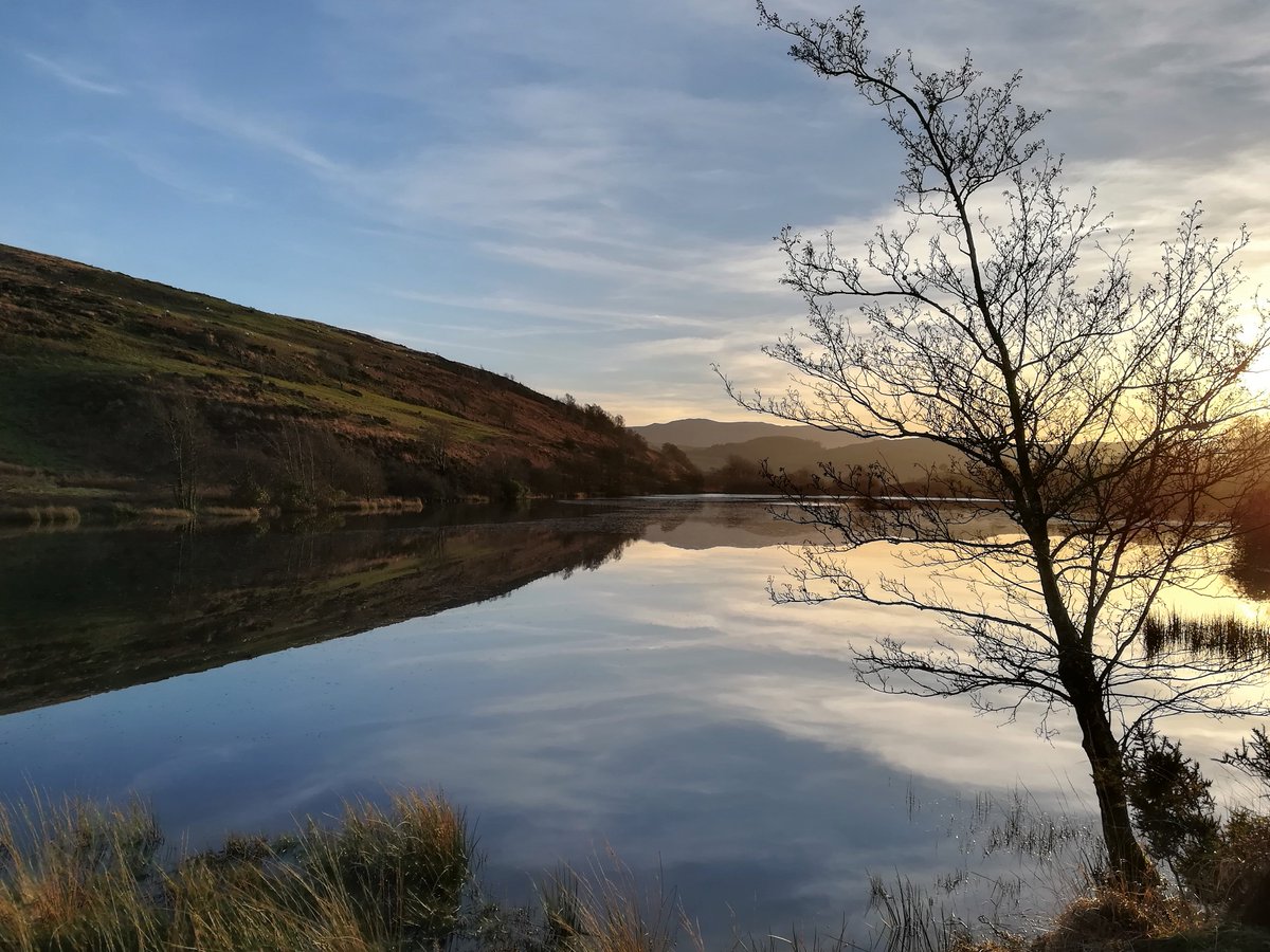 Wrth fy modd efo haul y gaeaf. Beautiful light this afternoon. #CanolbarthCymru