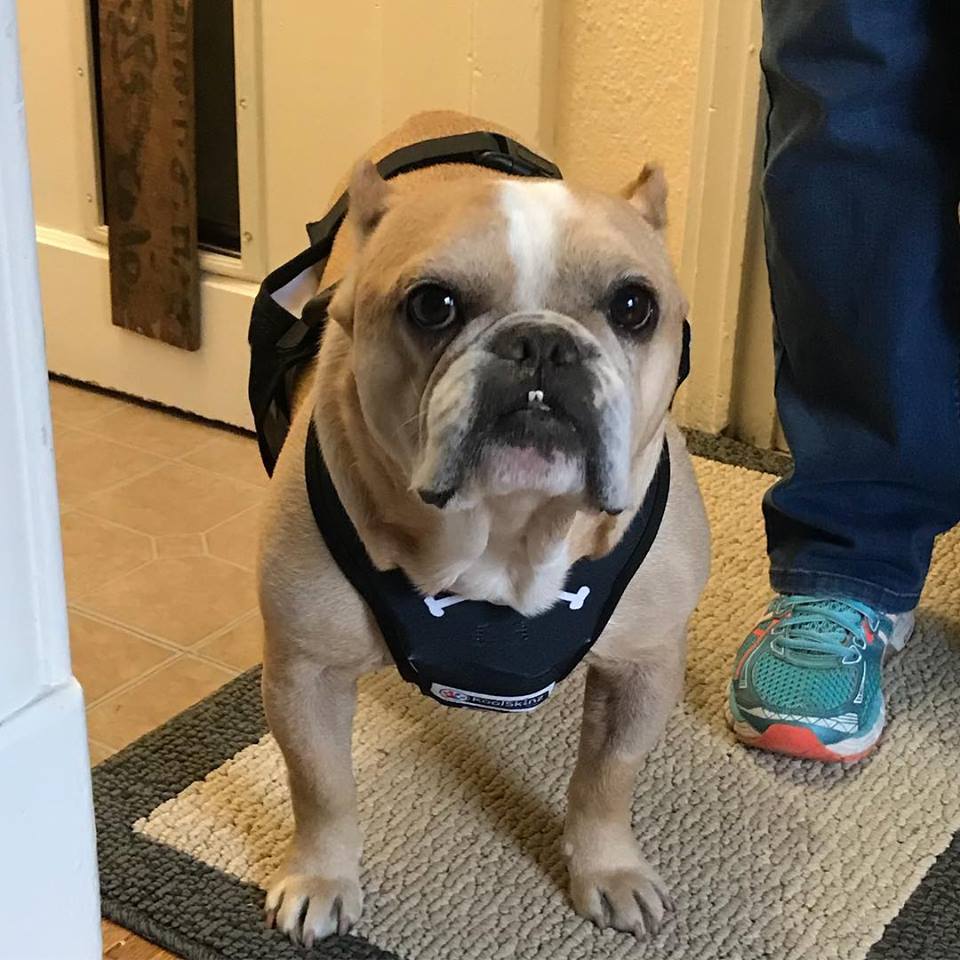 KoolSkinz (KoolSkinz) Twitter