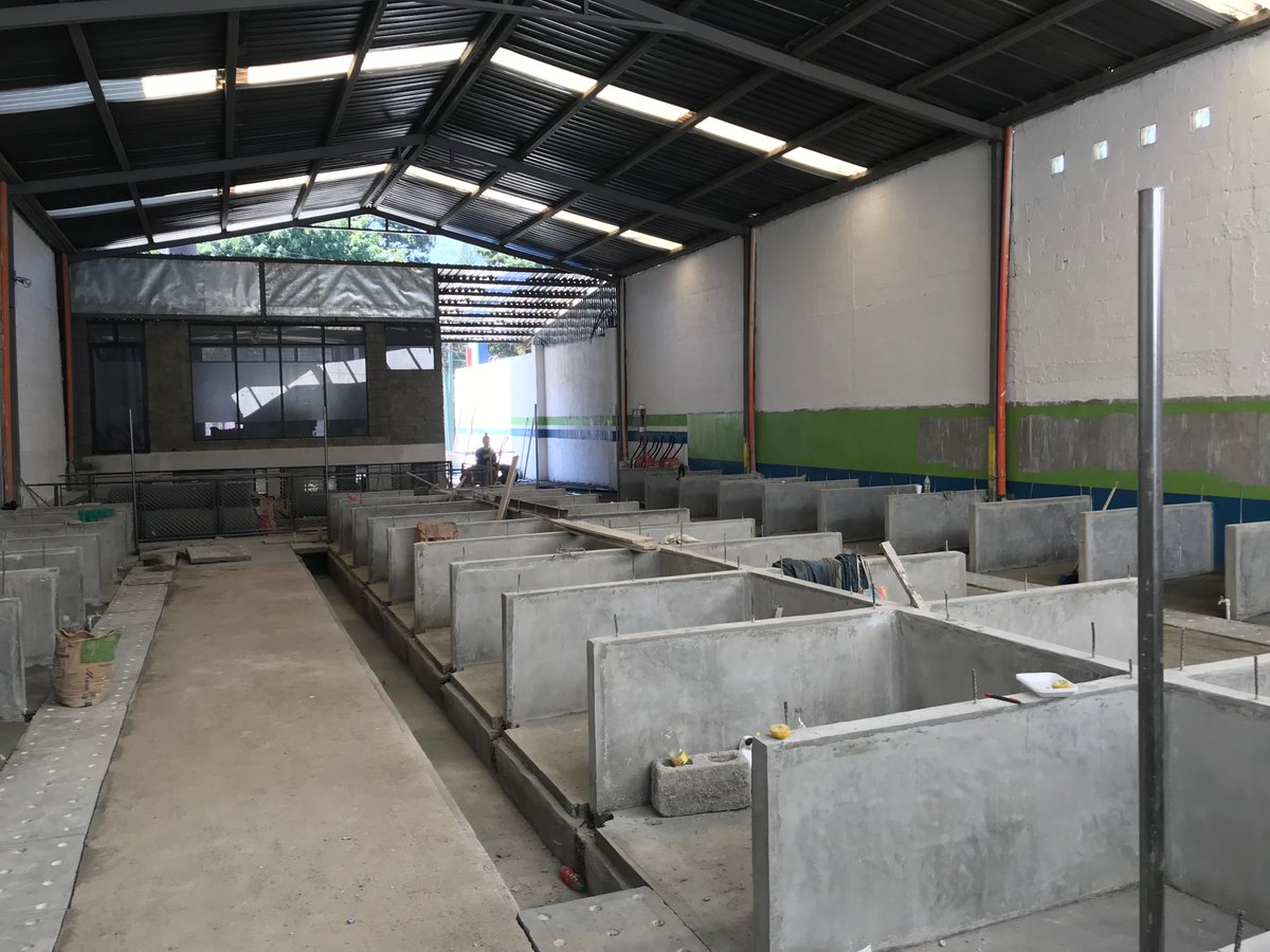 netobran's tweet photo. 🐈 🐶 🐱 🐕 Estamos a tan poco tiempo ya de inaugurar nuestro Albergue Municipal para Mascotas!!! Rescates y adopciones para perros y gatos en todo Mixco!!! Muy pronto empezaremos a reclutar voluntarios!!! 🐈 🐶 🐱 🐕 https://t.co/jA5AQmNAzI