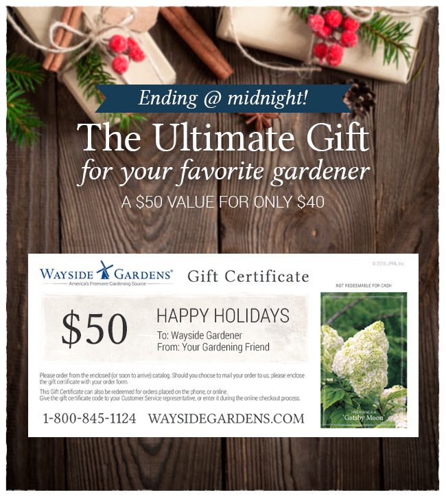 Wayside Garden Promo Code 2017 Fasci Garden