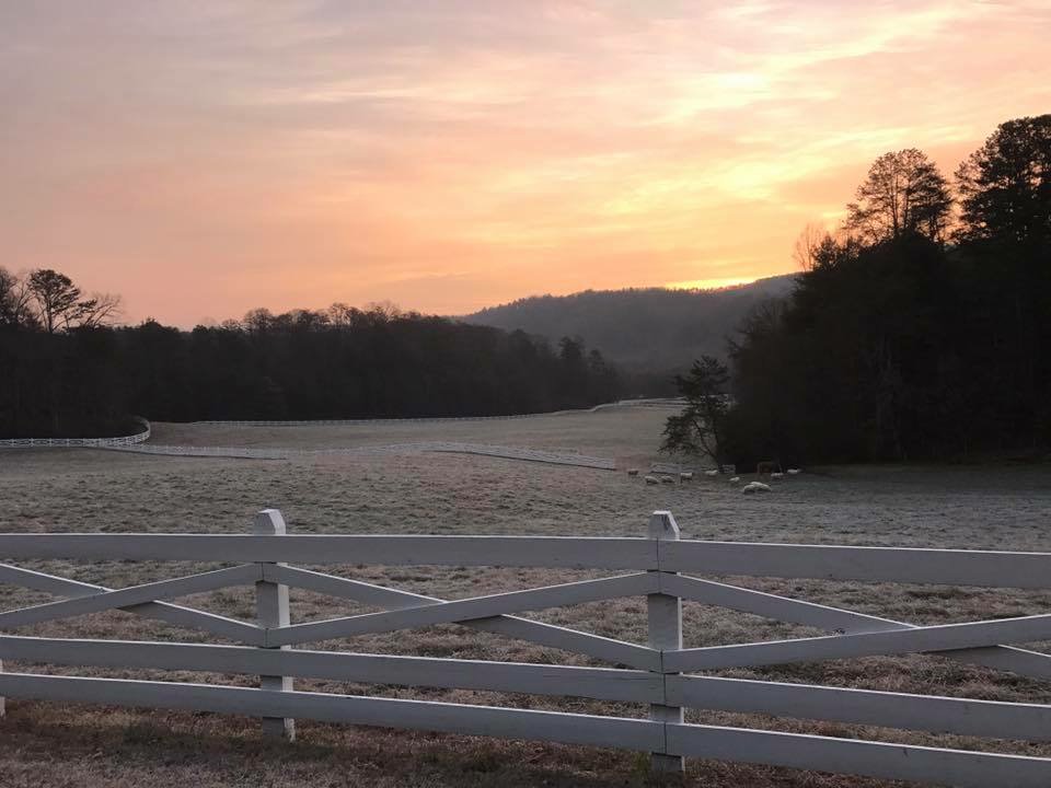 ProsRepair's tweet image. Holiday Special🎄#PropertyRepairPros Gift Certificates! $120 worth of services for only $100. Add $60 increments for only a additional $50 each. Call now 865-675-3608