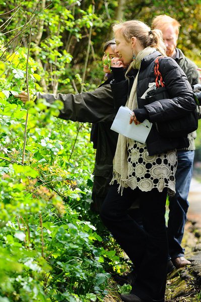 All my 2018 Spring foraging courses offer family and group booking discounts. Check them out on wildplantguide.com/foraging-walks…
#FamilyForaging #Wildfood #foragingcourses