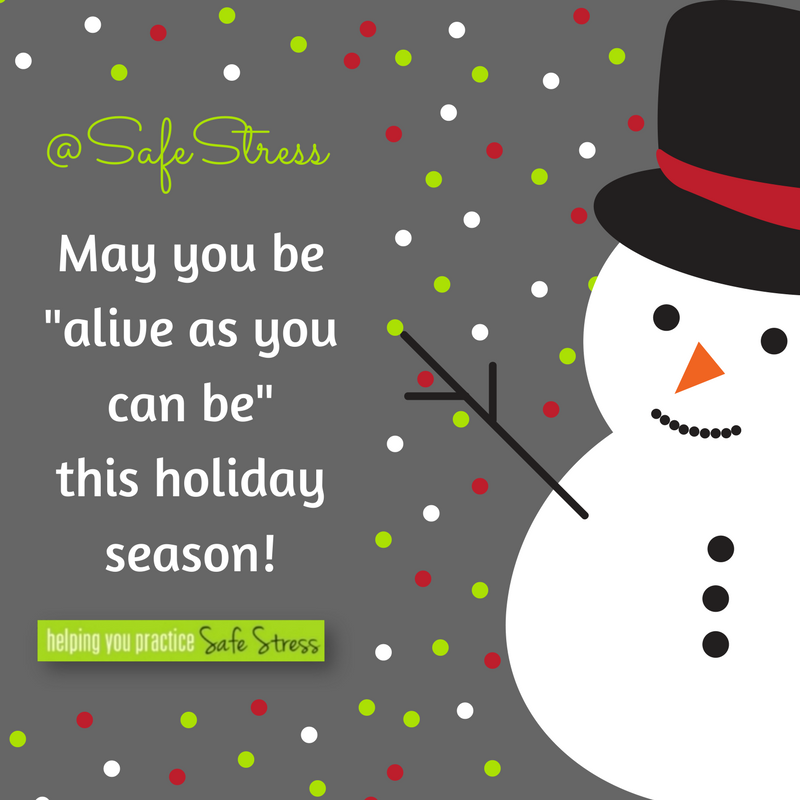 Safe Stress will be closed from December 18, 2017 - January 3, 2018. Happy Holidays and we will see you in the New Year! #PracticeSafeStress #TakeTimeToPlay #BeAJollyHappySoul