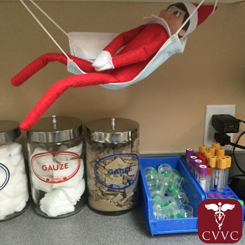 cypressviewvet's tweet photo. Zippy is about to catch some zzz's in a surgical mask hamock in prep. Elfin' is hard work! #elfontheshelf #vetelf https://t.co/OCd6MfepQN