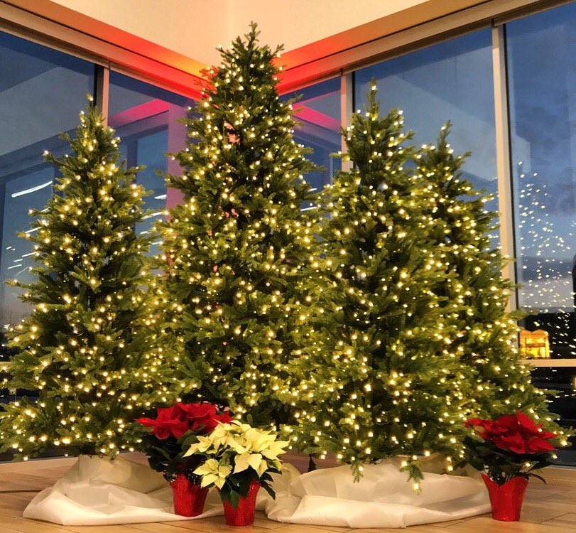 EventLabLLC's tweet image. Adding a little light and sparkle to your holiday! 🎄

#christmasevent #santa