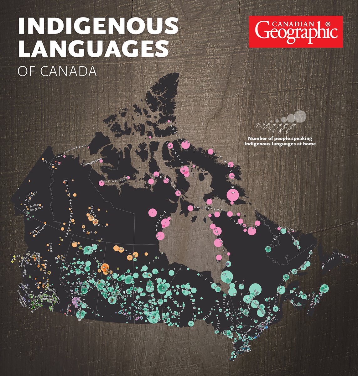 Interested in learning where #Indigenous languages are being spoken in Canada? The #CanadianGeographic set out to map where 60 languages belonging to 12 language families are being used right now! goo.gl/VsgpVy