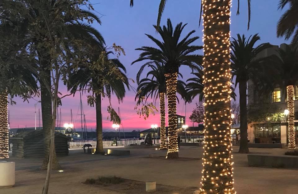 JackLondonSq's tweet image. Palm trees, holiday lights, and pink sunsets at the Square this past weekend! Have you taken a great picture? We'd love to see it! #JackLondonSquare

 📸: Pamela Dunn