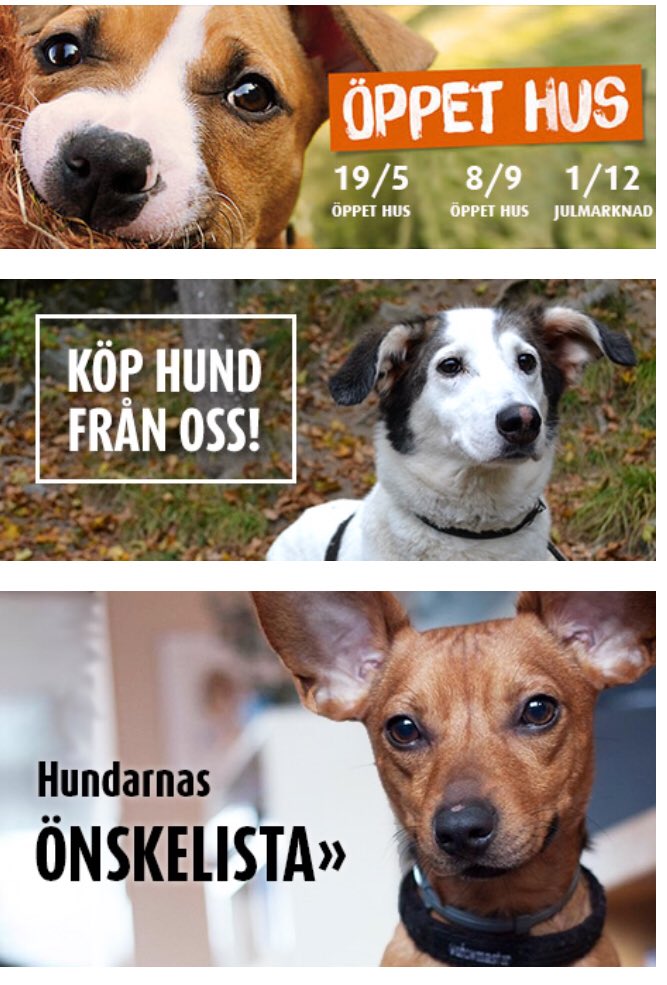 magelii1's tweet photo. Om man har allt och ändå vill tänka lite på t ex hundar. Då gör hundstallet ett så fint jobb. https://t.co/B1n5wLbnFl #hundstallet https://t.co/CN75b2XmtX