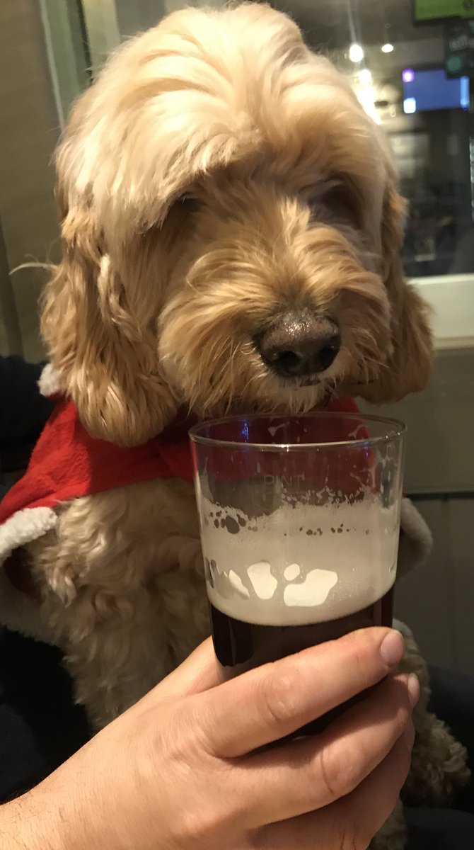 Ted Dale tweet media